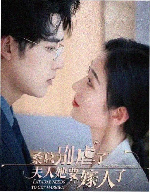变形金刚赛博坦陨落剧集在线观看